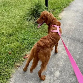 Winnie Mae