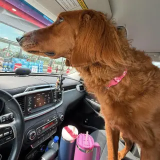 Winnie Mae