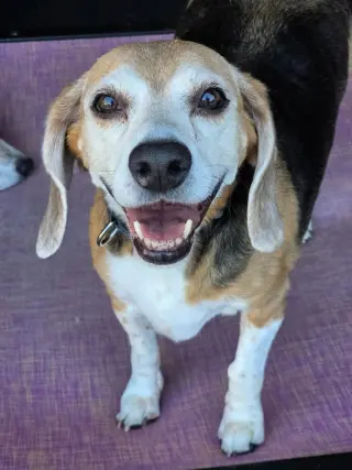 Suzie