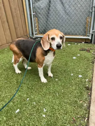 Suzie
