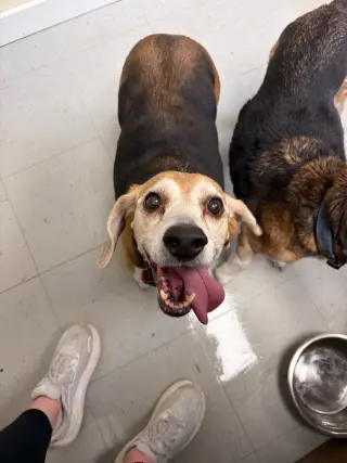 Suzie