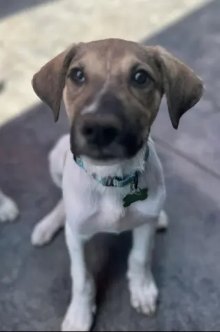 Lucky