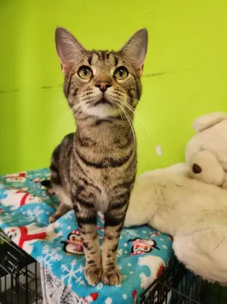 Zorg