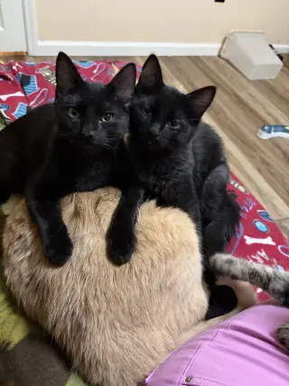 Lucky