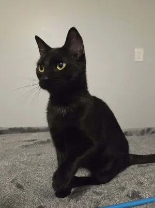 Minnie