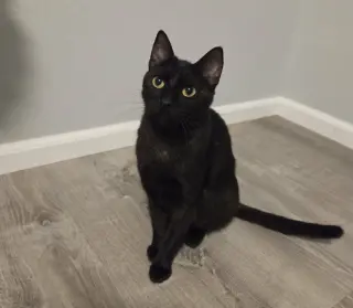 Minnie