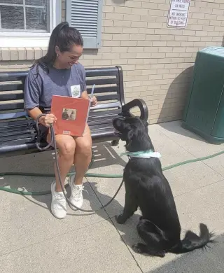 Bart (Foster or Adopter needed!)