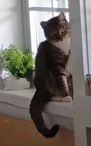 LENA