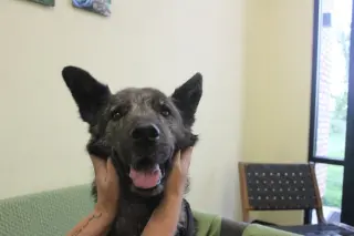 Emmie