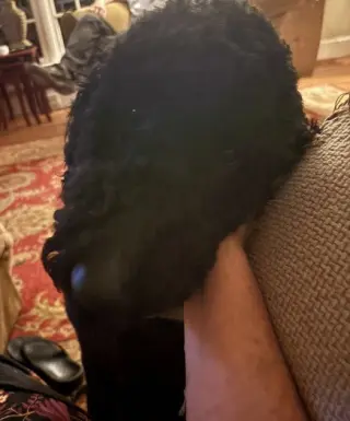 Jet