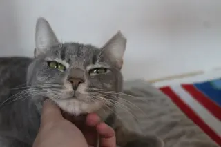 Val