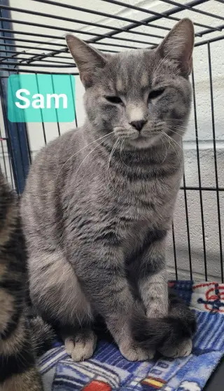 Sam