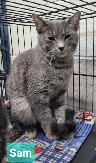 Sam