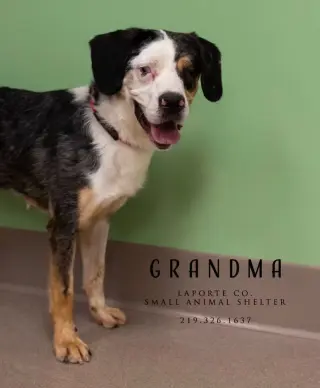 Grandma
