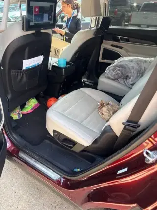 Kia Telluride 2023 AWD SX 4dr SUV
