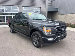 Ford F-150 2023 4x4 XLT 4dr SuperCrew 5.5 ft. SB