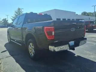 Ford F-150 2023 4x4 XLT 4dr SuperCrew 5.5 ft. SB