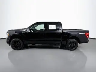 Ford F-150 2023 4x4 XLT 4dr SuperCrew 5.5 ft. SB