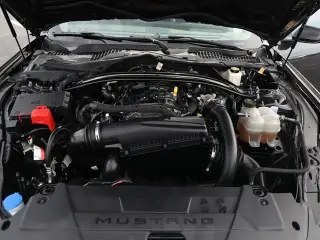 Ford Mustang 2024 EcoBoost Premium 2p Conversible