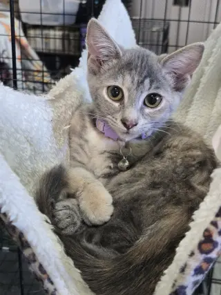 Bonnie