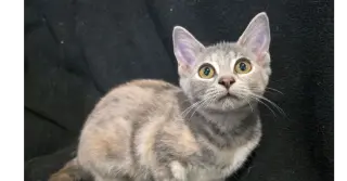 Bonnie