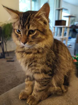 Roscoe
