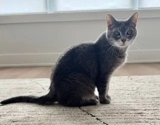 Ellie