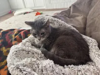 Ellie