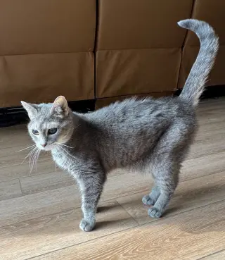 Ellie