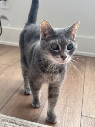 Ellie