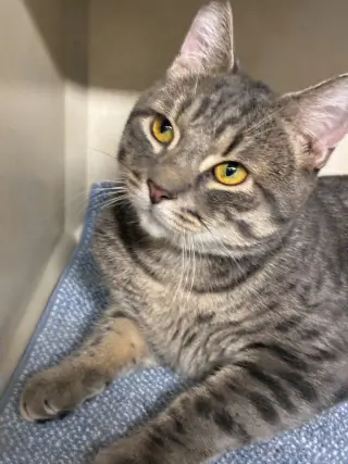 Clark