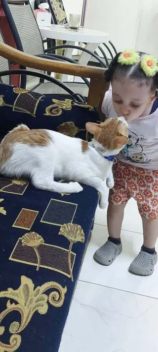 Cairo
