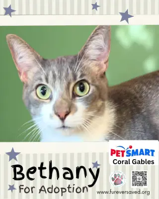 Bethany