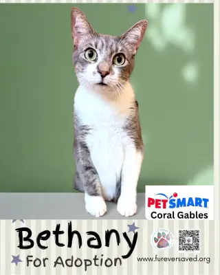 Bethany