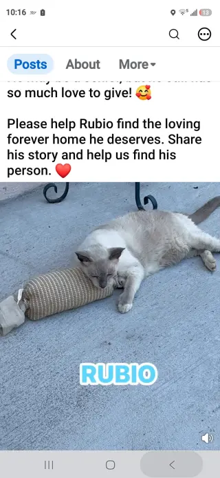 Rubio