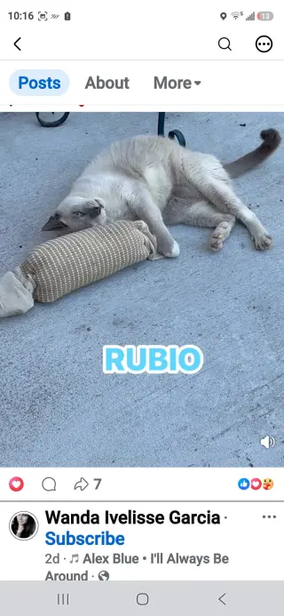 Rubio