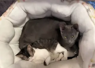 Maxie / Mila