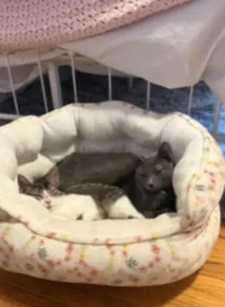 Maxie / Mila