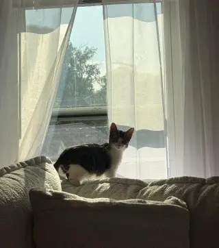 Maxie / Mila