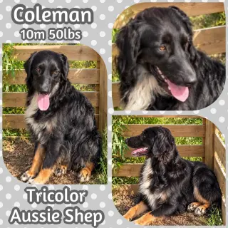 Coleman