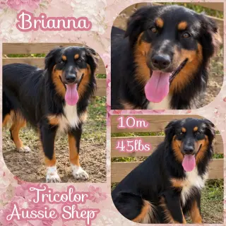 Brianna