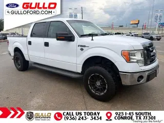 Ford F-150 2010 4x2 XLT 4dr SuperCrew Styleside 5.5 ft. SB