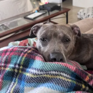 Mahina