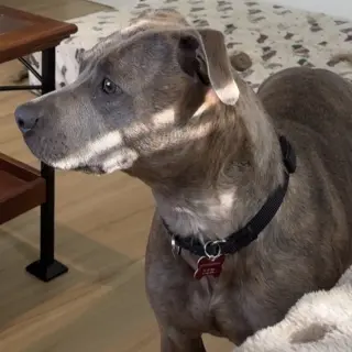 Mahina