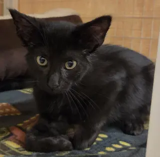 Maui (Available 10/2/26)