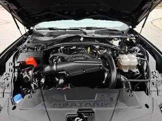 Ford Mustang 2025 EcoBoost 2dr Convertible