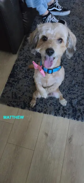MATTHEW