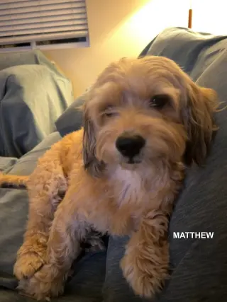 MATTHEW