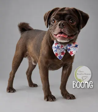 Boone