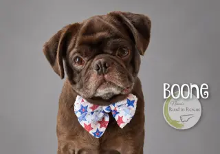Boone
